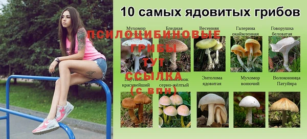 каннабис Абаза