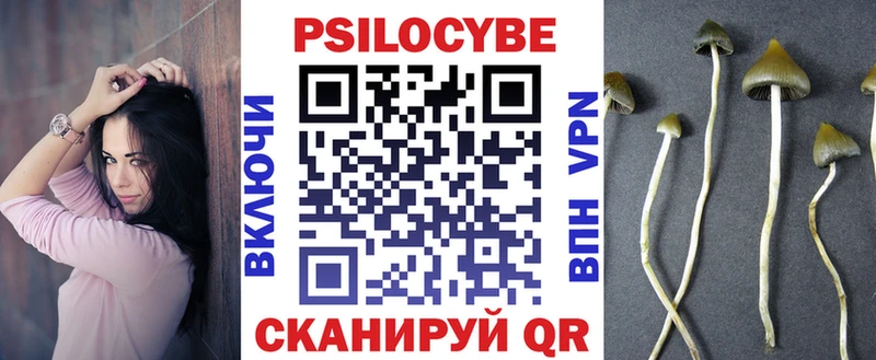 Псилоцибиновые грибы мицелий Костомукша