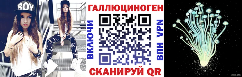 как найти закладки сайты даркнета Telegram Псилоцибиновые грибы Psilocybe Костомукша блэк спрут